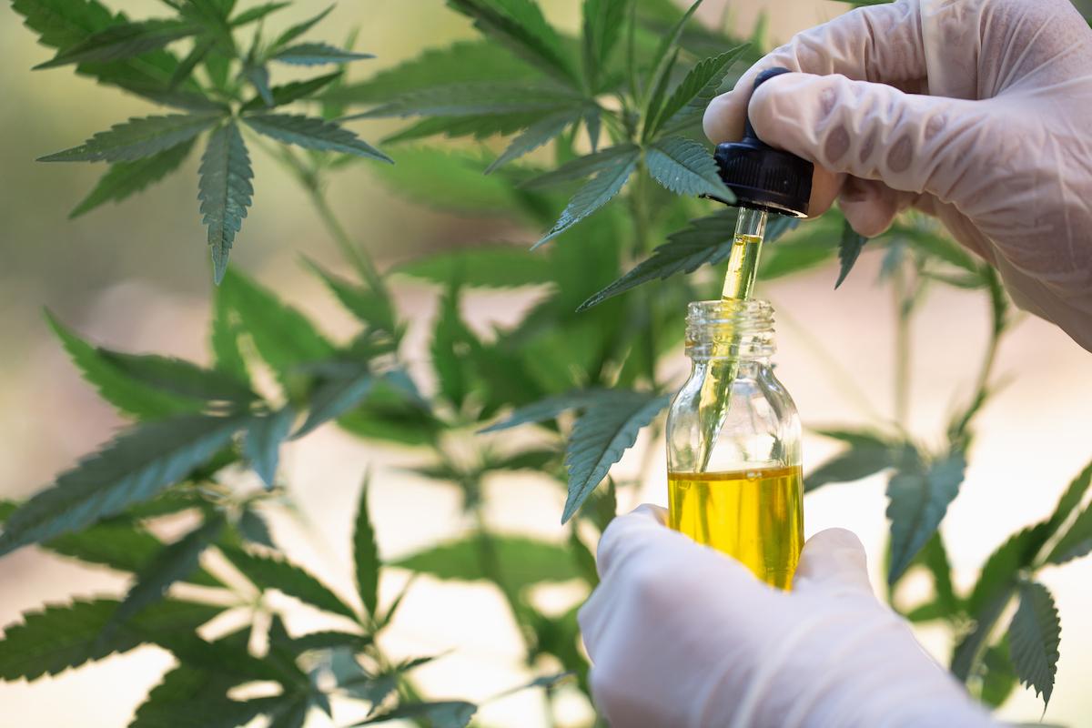 Exploring the Different Types of CBD Oil Full Spectrum, Broad Spectrum, and Isolate