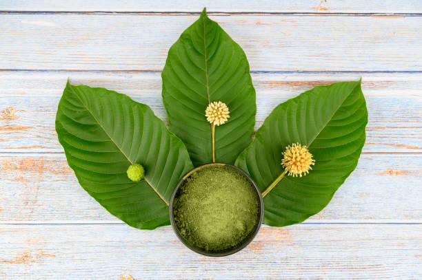 Happy Go Leafy Kratom: Your Source for Effective Relaxation